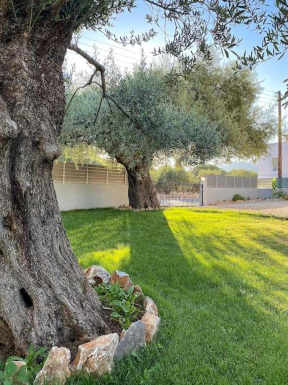 Olives Villa Sinoikismos Kambos Extérieur photo