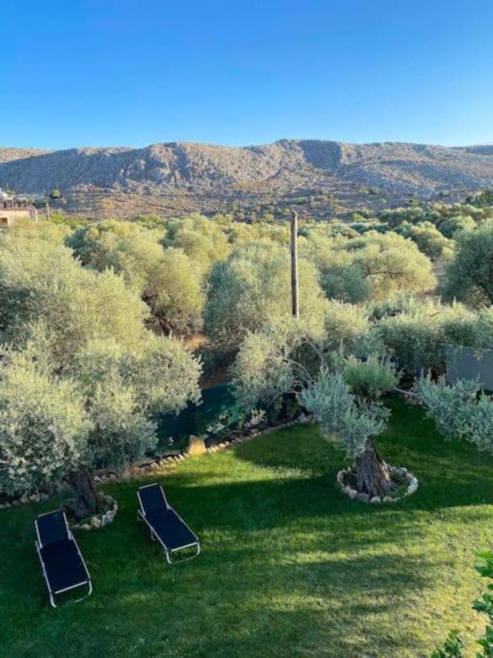 Olives Villa Sinoikismos Kambos Extérieur photo