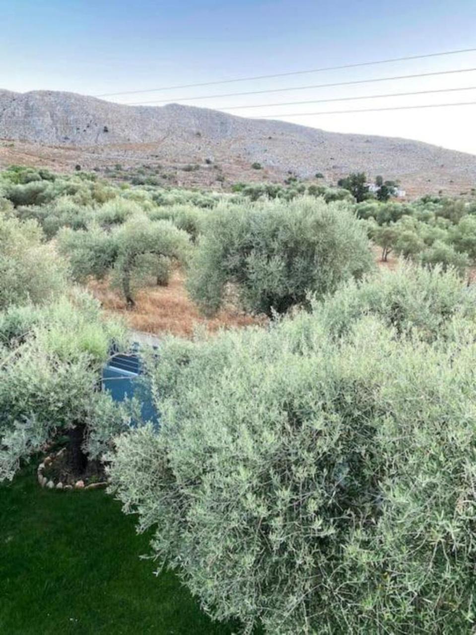 Olives Villa Sinoikismos Kambos Extérieur photo